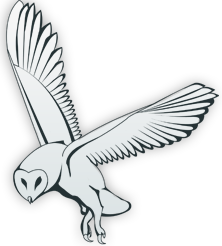 Reverend Frost Pollitt